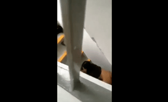 Quay lén đôi tình nhân làm tình ở cầu thang