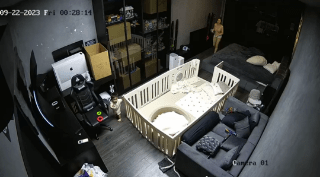 Hack cam gái một con trông mòn con mắt ngày 22 tháng 9